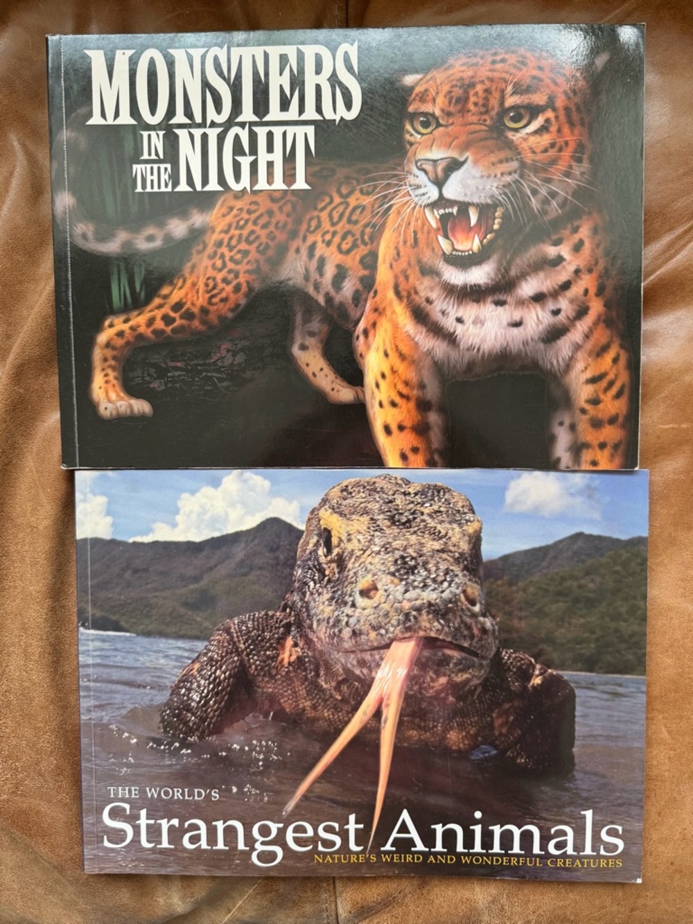 EUC Scholastic Books: Monsters In The Night & The World’s Strangest Animals